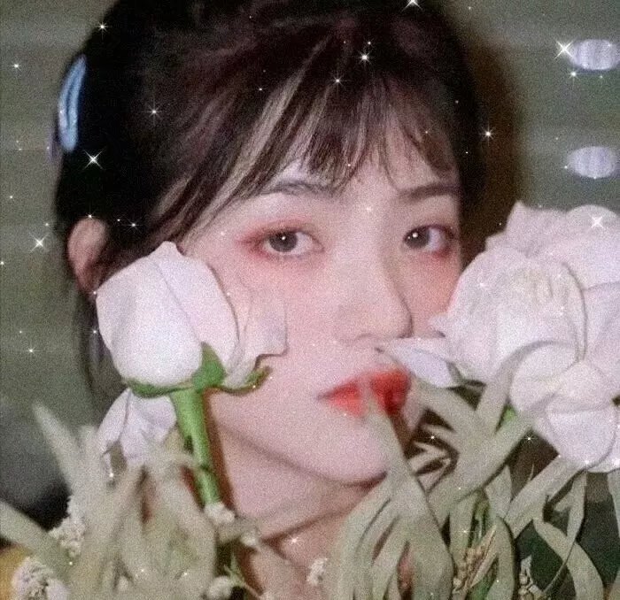 探长林尼