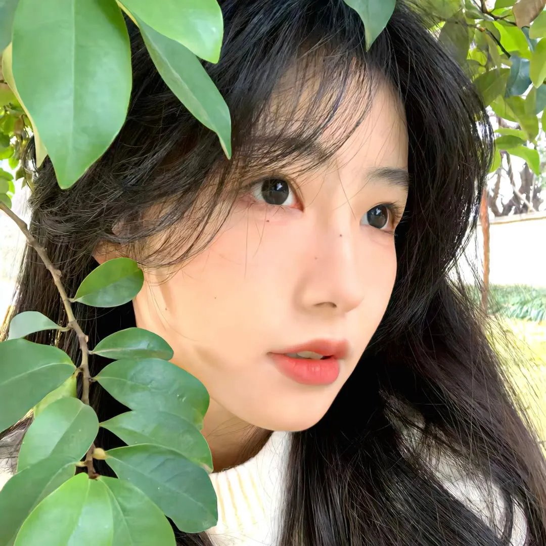 向雪许愿