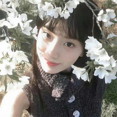 狐狸在手
